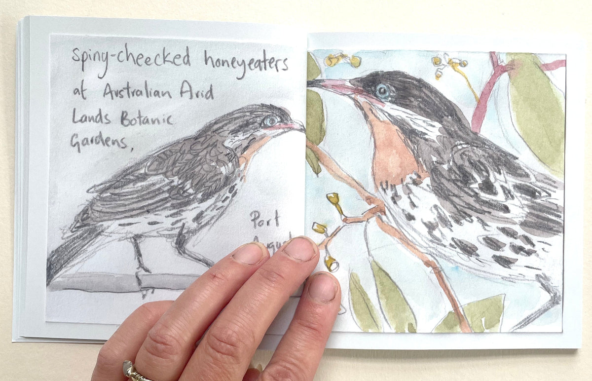 Trip To Port Augusta - Artist Minibook