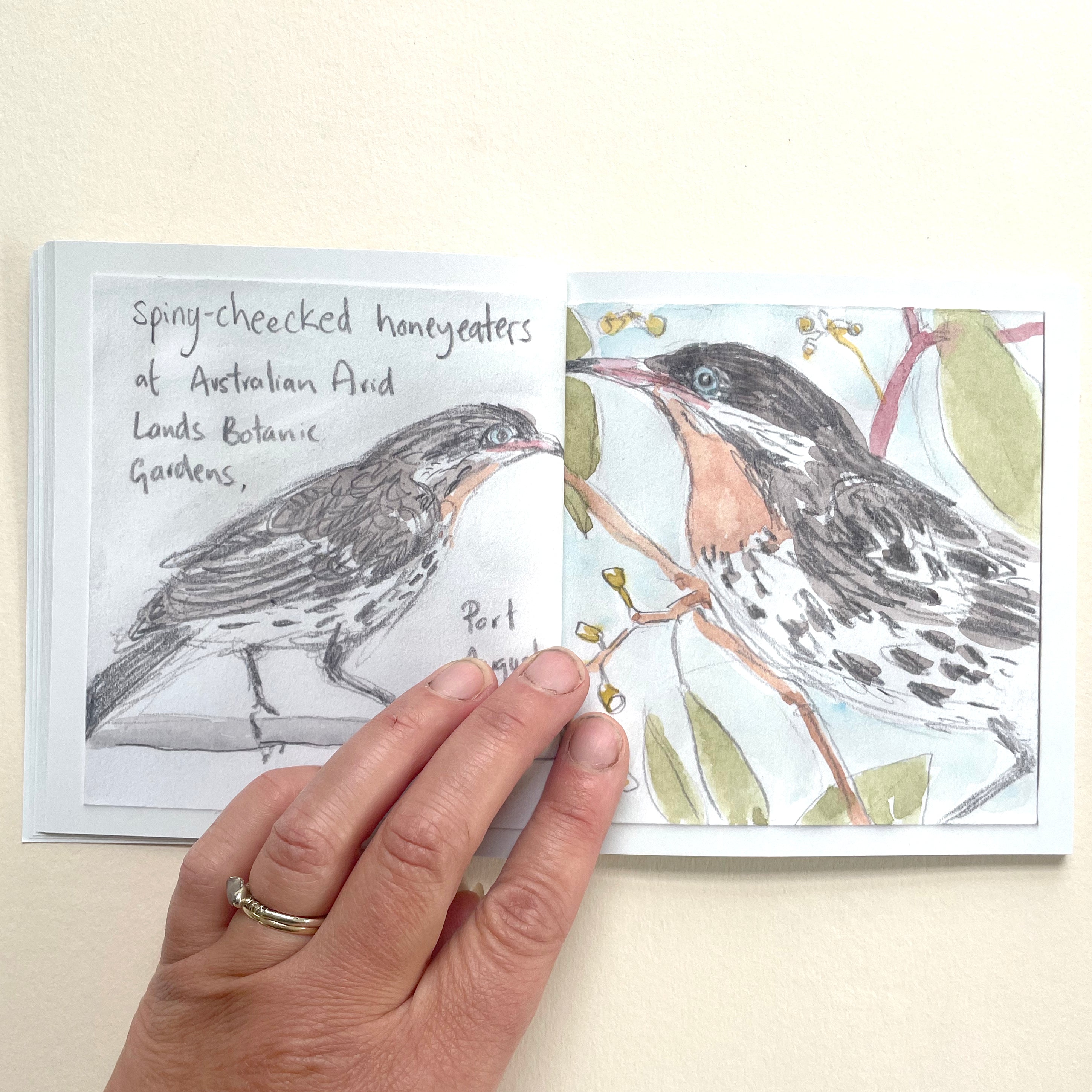 Artist Minibook - Trip To Port Augusta