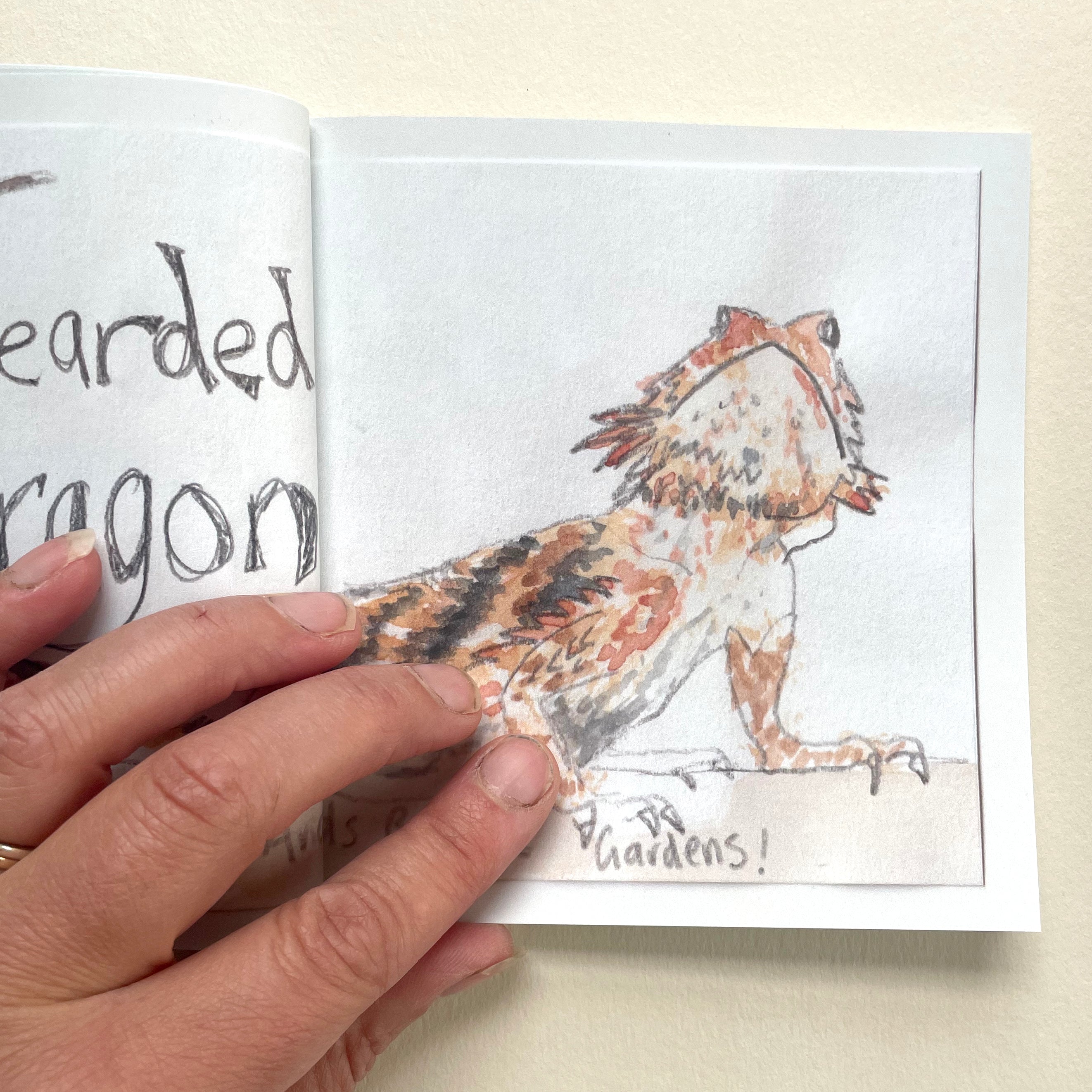 Artist Minibook - Trip To Port Augusta