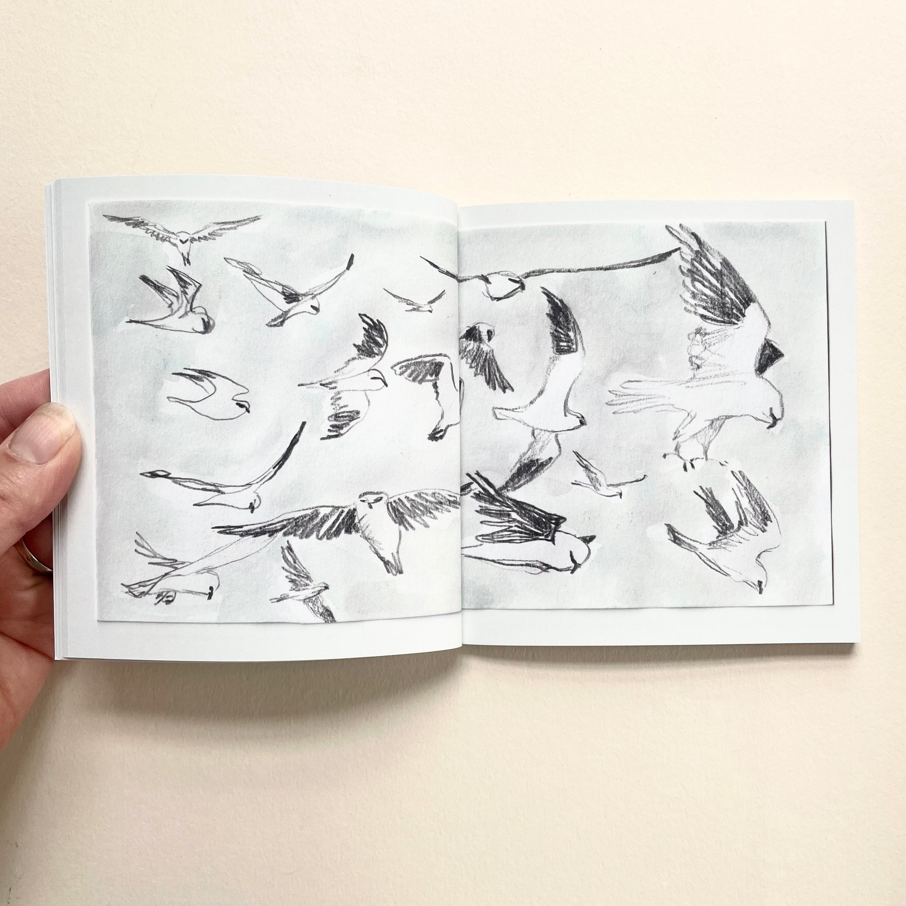 Artist Minibook - Trip To Port Augusta