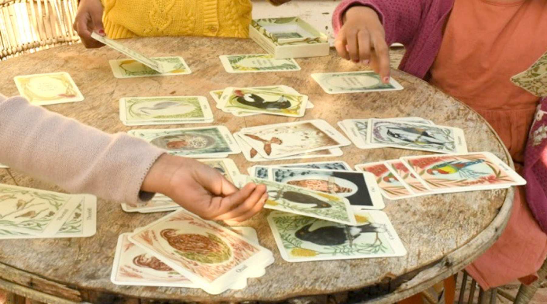 I am a Magpie I am a Currawong Card Game