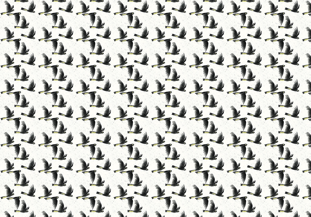 Yellow-tailed Black Cockatoos Wrapping Paper