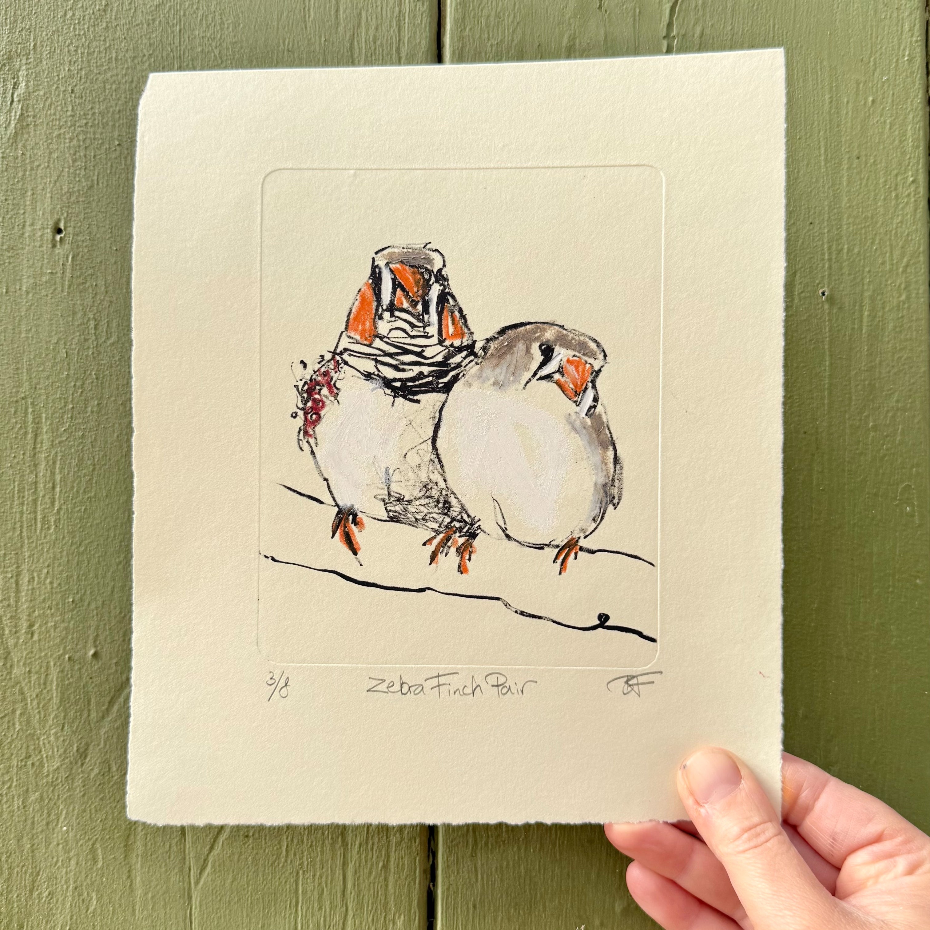 Lithograph - Zebra Finch Pair