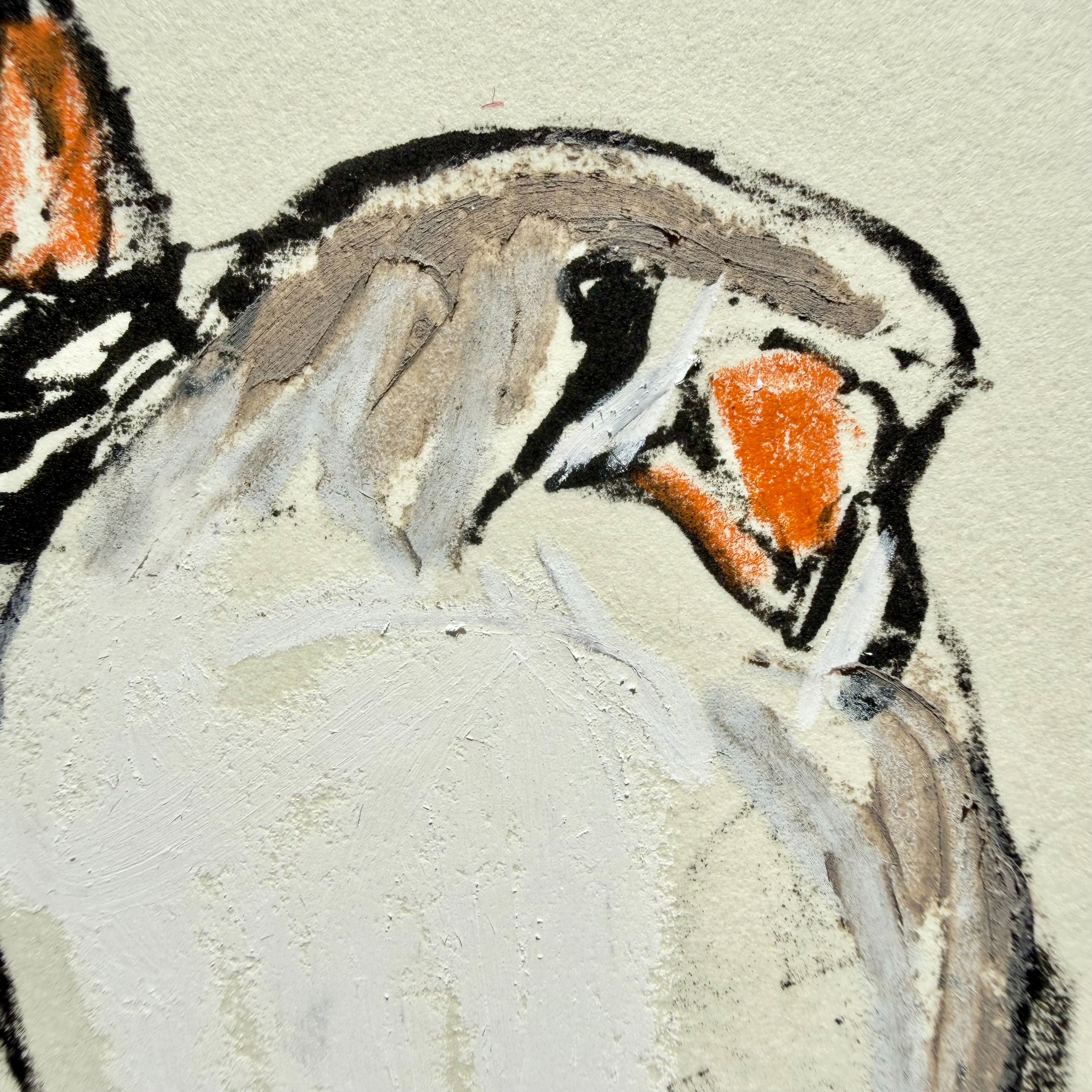 Lithograph - Zebra Finch Pair