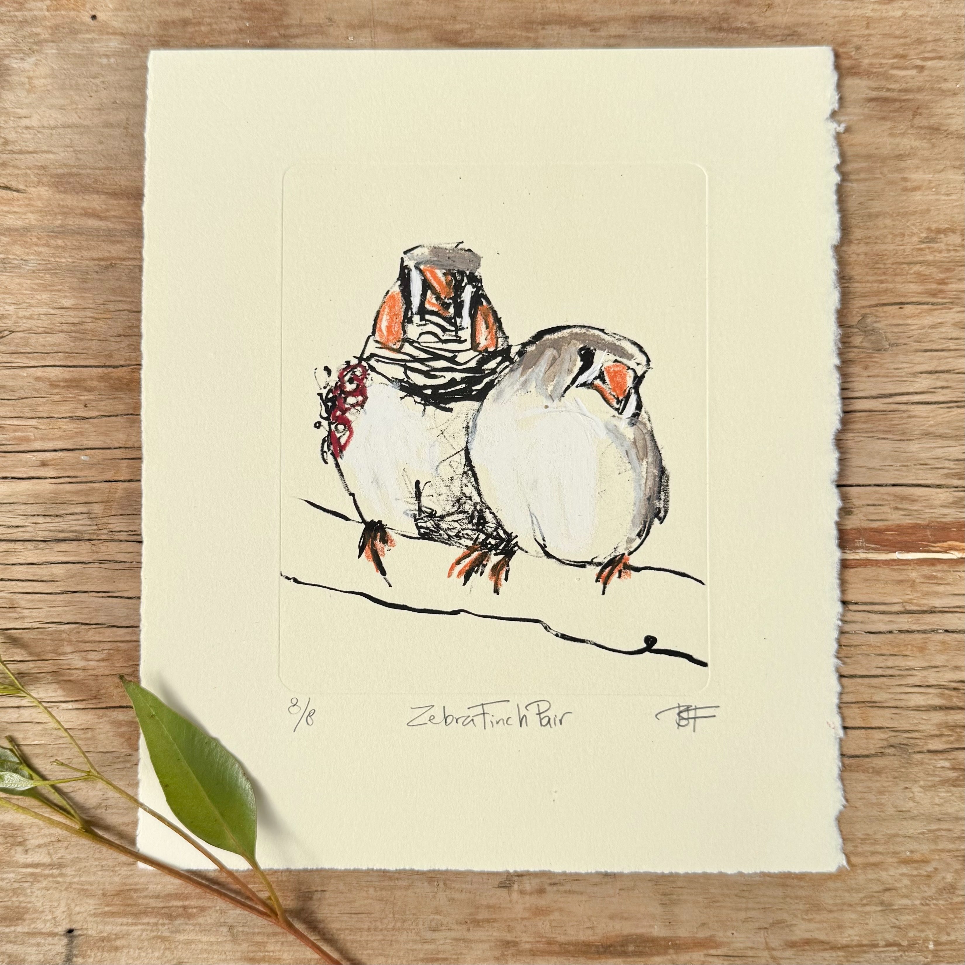 Lithograph - Zebra Finch Pair