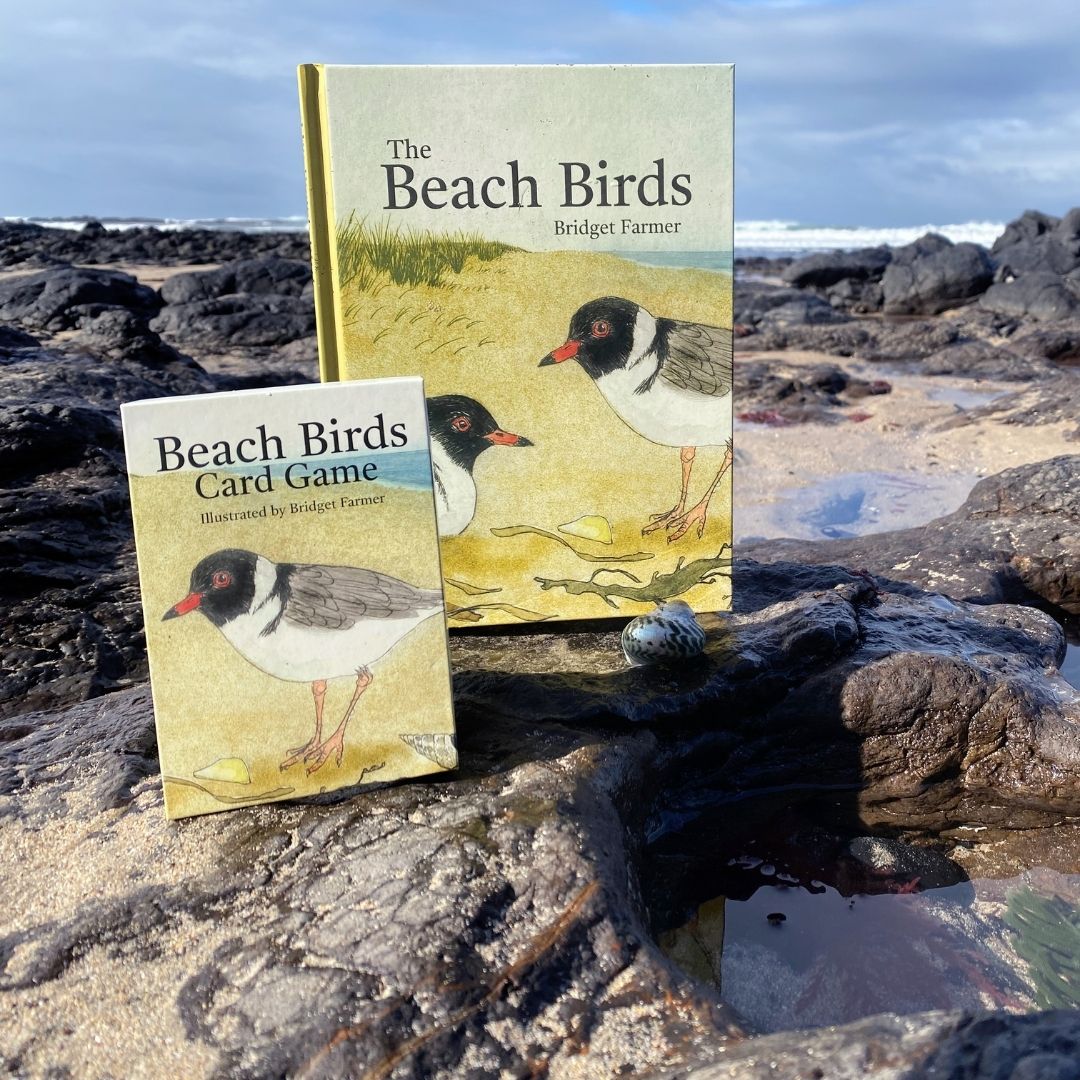 The Beach Birds Card Game