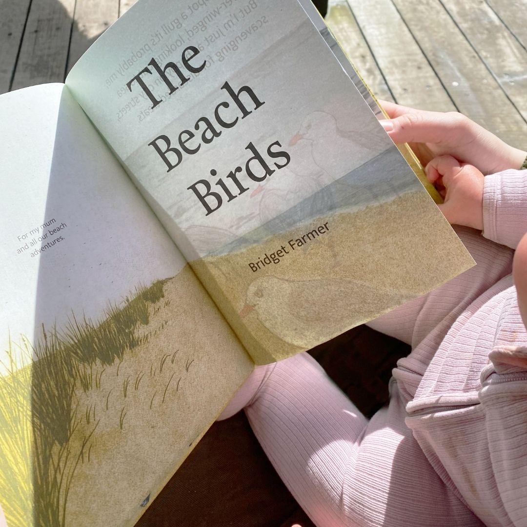 The Beach Birds - Lift The Flap Children's Bird Book