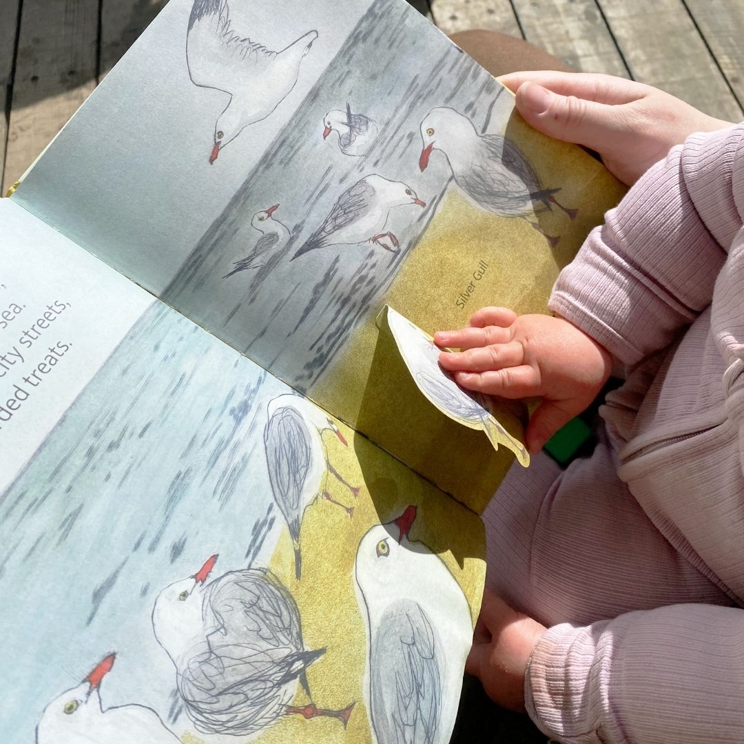 The Beach Birds - Lift The Flap Children's Bird Book