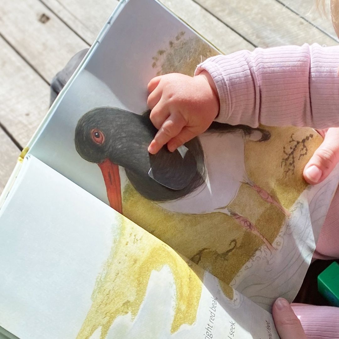 The Beach Birds - Lift The Flap Children's Bird Book