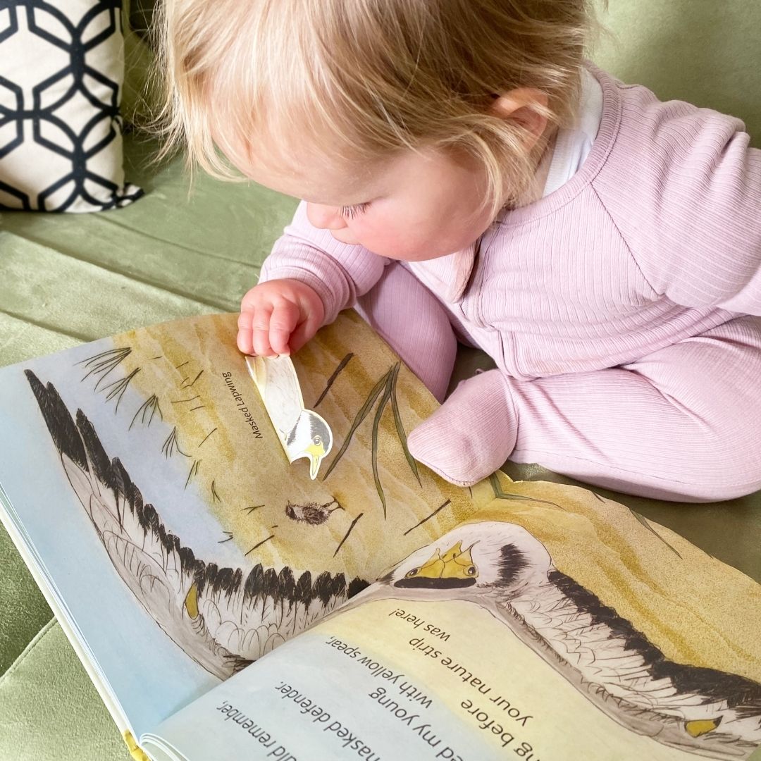 The Beach Birds - Lift The Flap Children's Bird Book