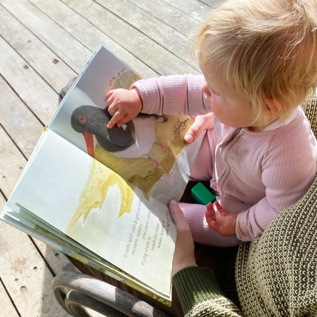 The Beach Birds - Lift The Flap Children's Bird Book