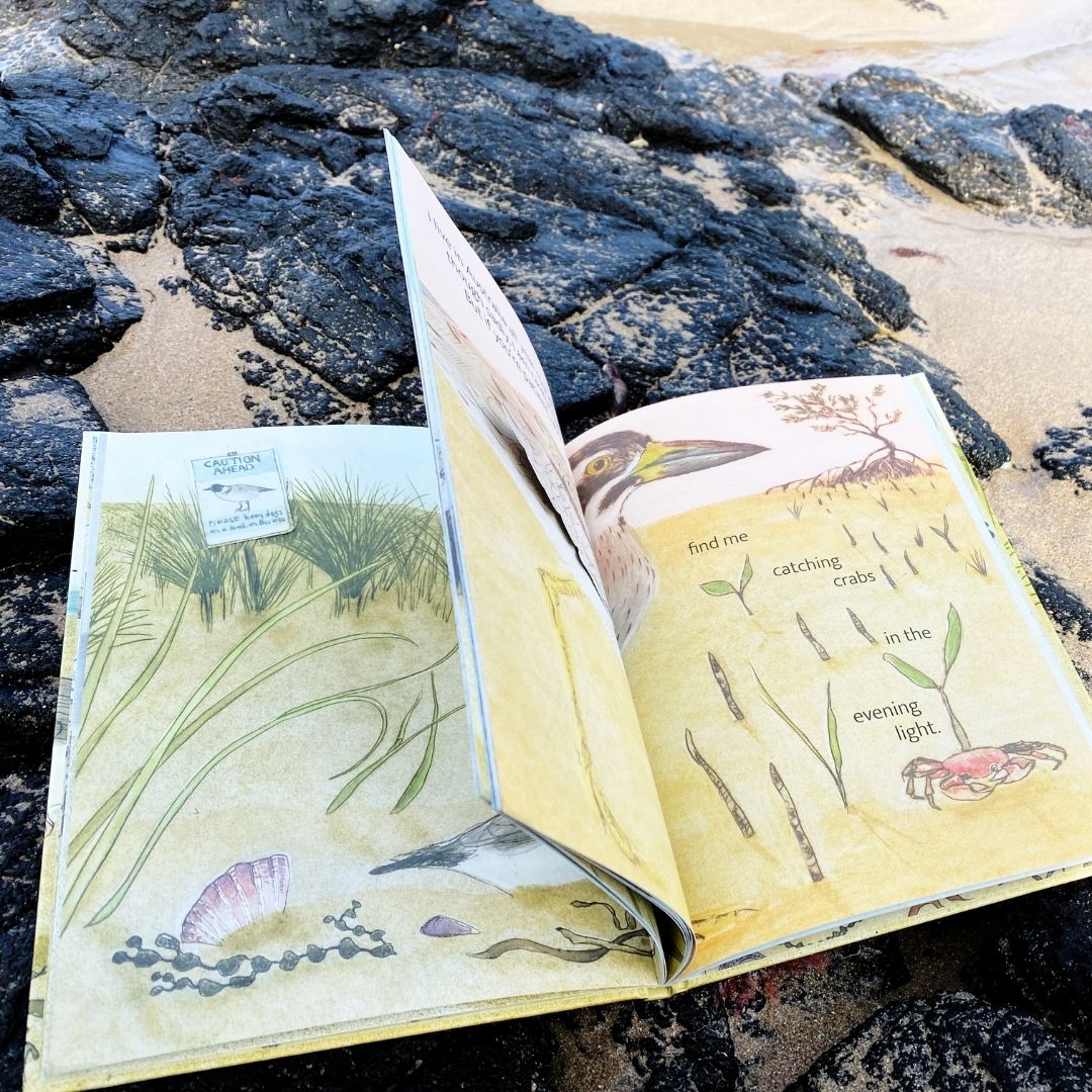 The Beach Birds - Lift The Flap Children's Bird Book