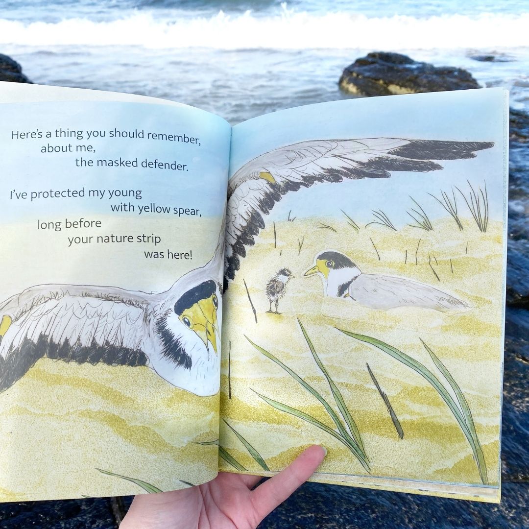 The Beach Birds - Lift The Flap Children's Bird Book