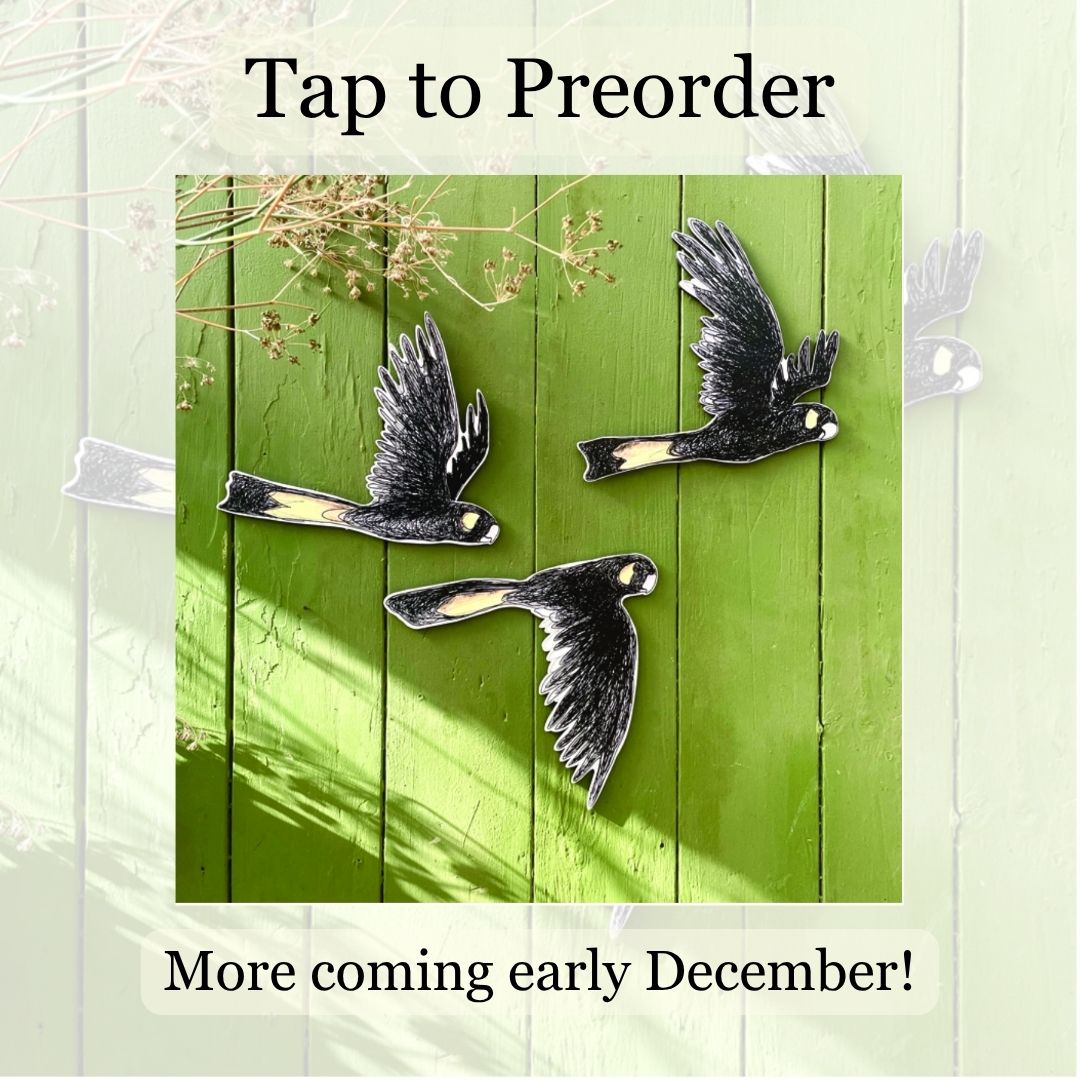 PREORDER: Australian Aviary ~ Wall Decorations ~ Yellow-tailed Black Cockatoos (set of 3)