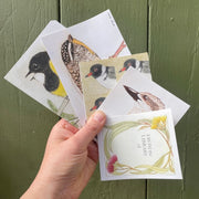 Book Week Sticker Pack