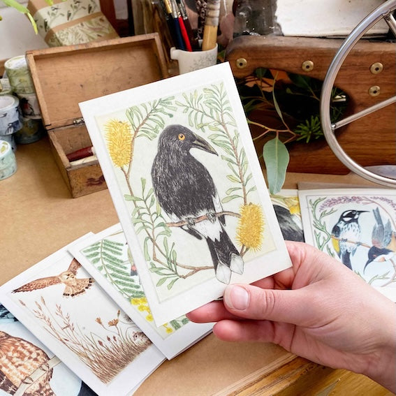 I am a Magpie - 6 Greeting Cards