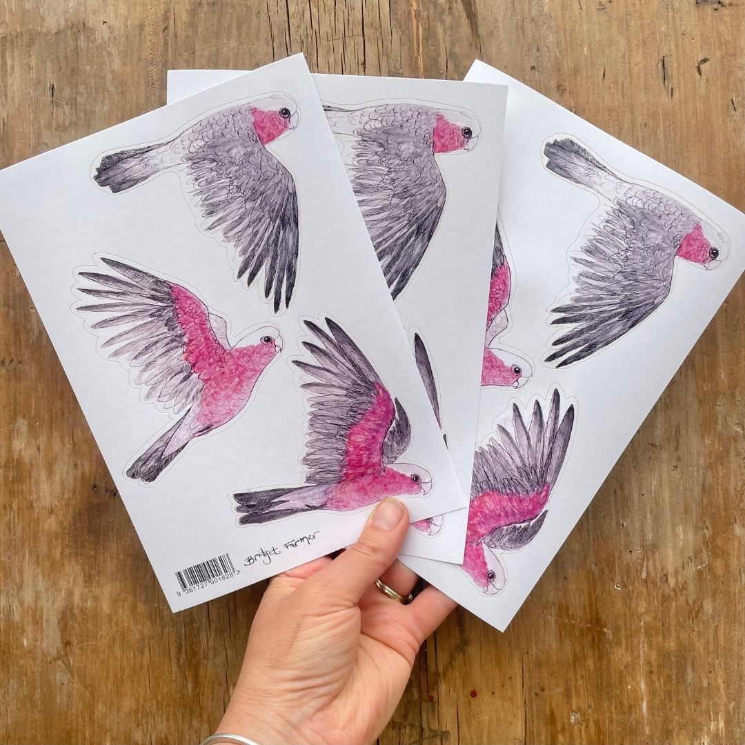 Galahs Sticker Sheet