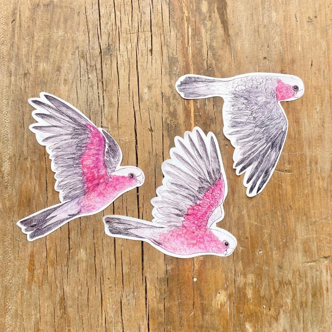 Galahs Sticker Sheet