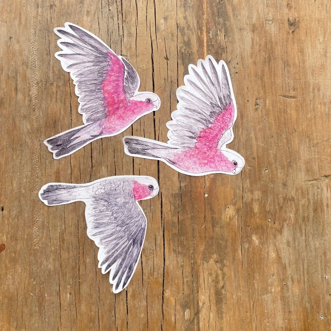 Galahs Sticker Sheet