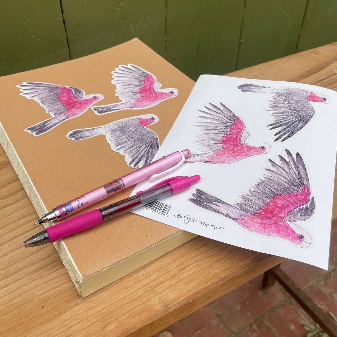PREORDER NOW: Think Pink! Galah Gift Pack