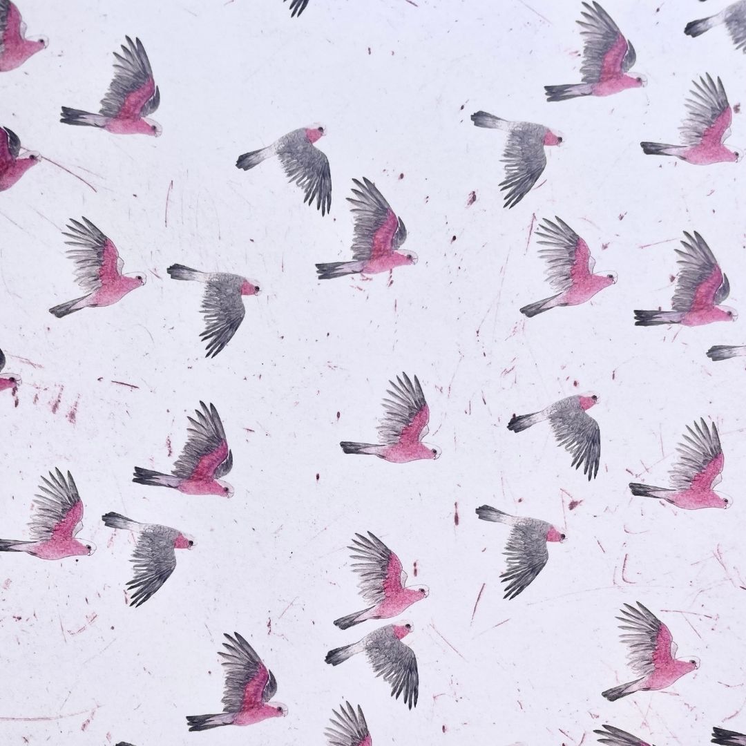 Galah Wrapping Paper