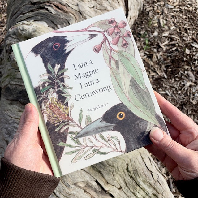 PREORDER ~ I am a Magpie I am a Currawong - A child's first bird book ~ PREORDER