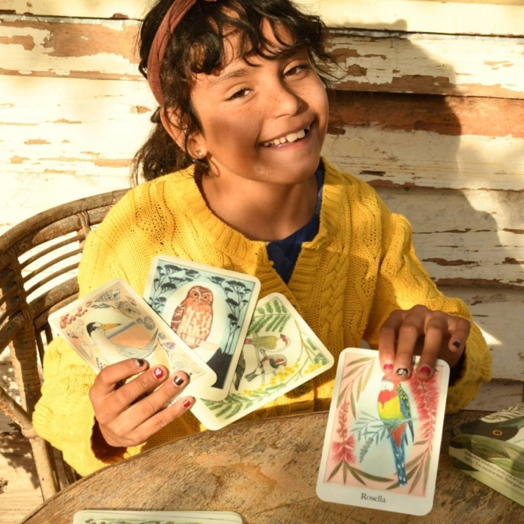 I am a Magpie I am a Currawong Card Game