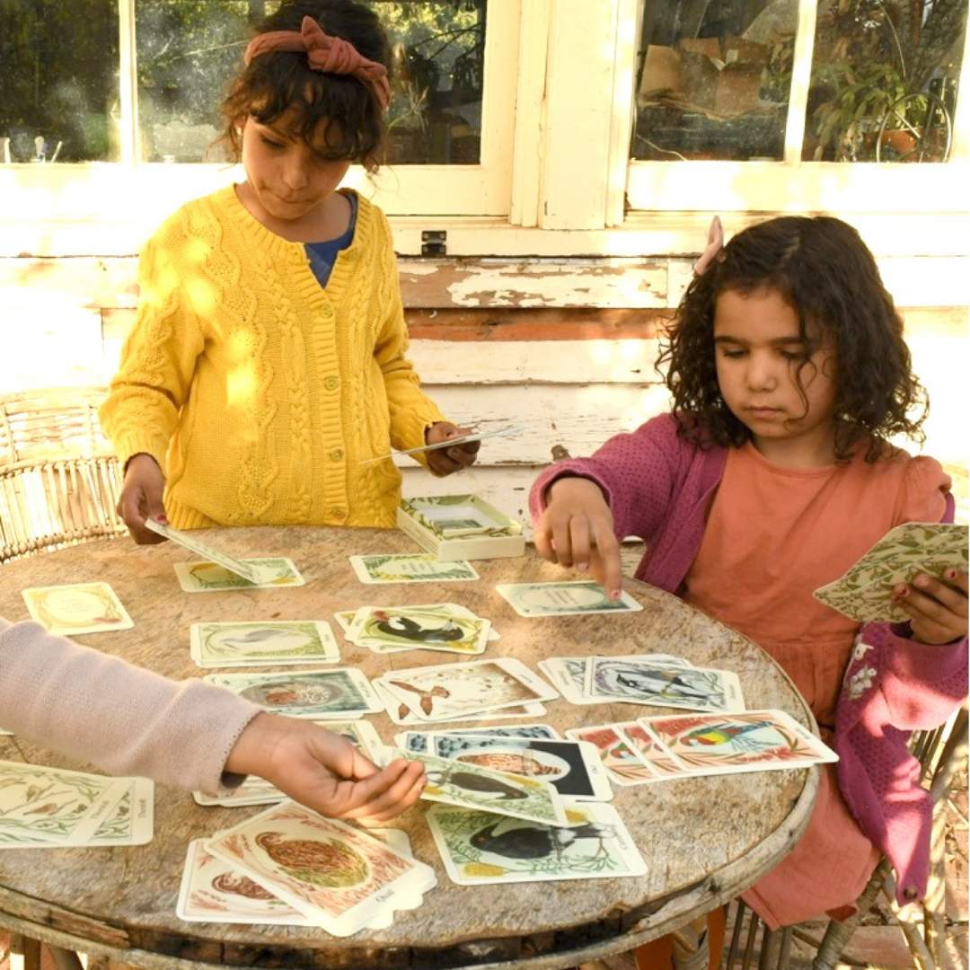 I am a Magpie I am a Currawong Card Game