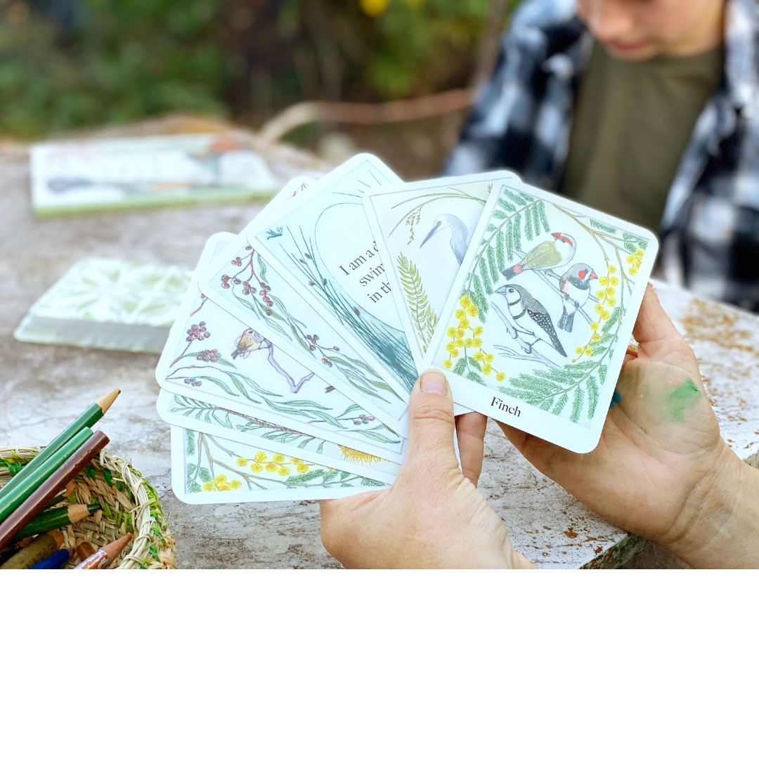 I am a Magpie I am a Currawong Card Game