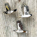 pelican kookaburra new holland honeyeater in flight pins on wood