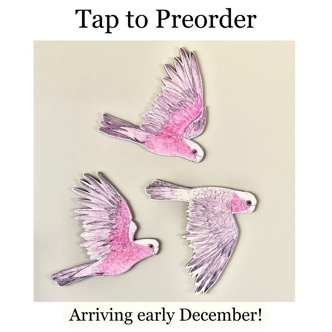 PREORDER NOW: Australian Aviary ~ Wall Decorations ~ Galahs (set of 3)