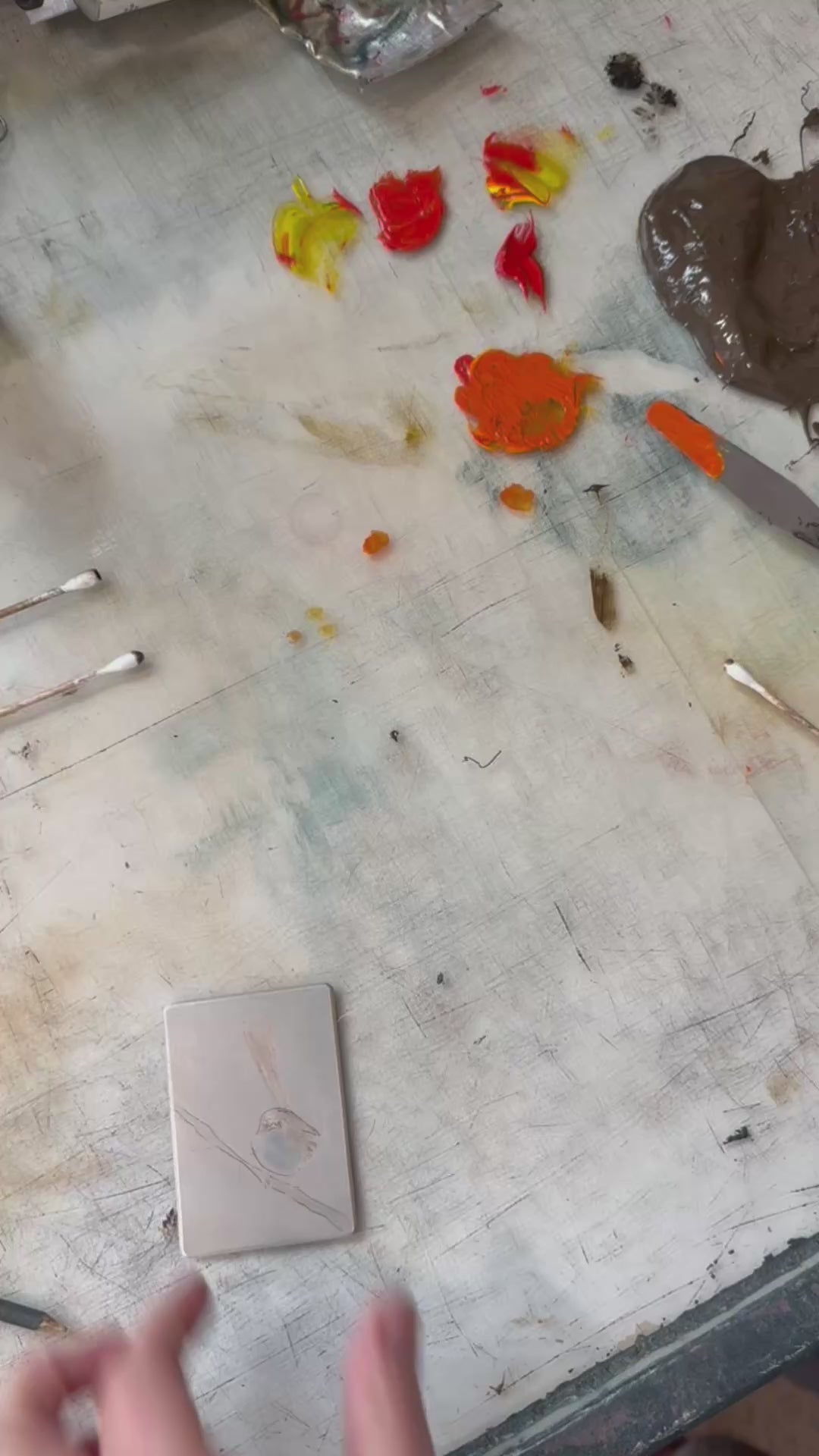 Load video: Original Etching - Superb Fairywren