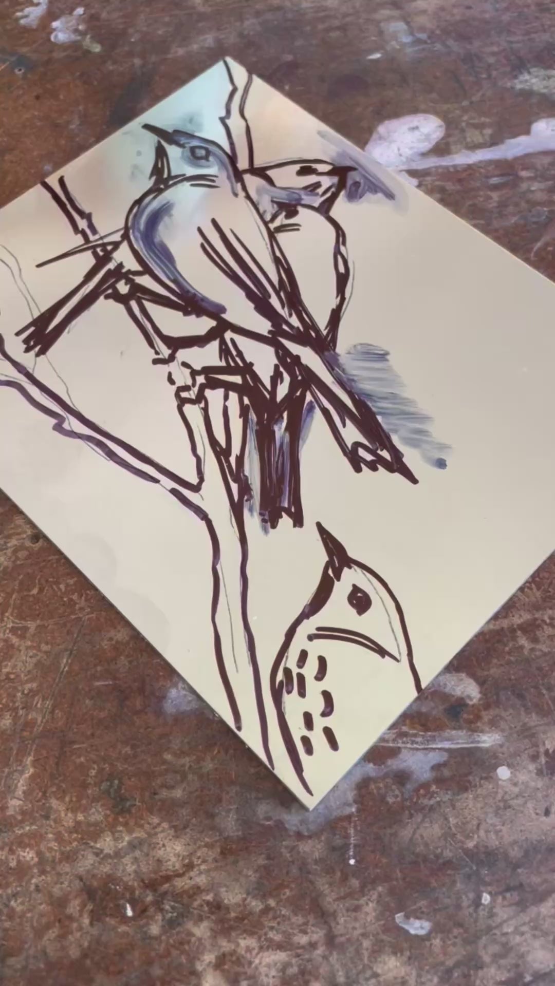 Load video: Original Drypoint Etching - Yellow-plumed Honeyeaters at Hattah