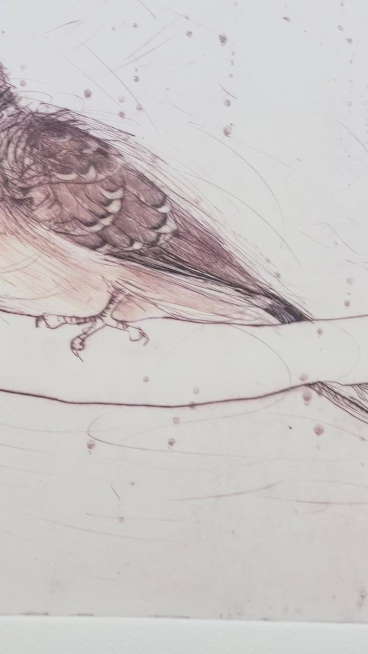 Load video: Original Drypoint Etching - Peaceful Doves