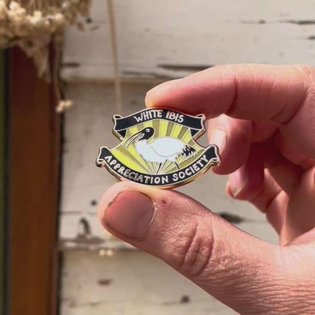 Load video: White Ibis Appreciation Society Enamel Pin