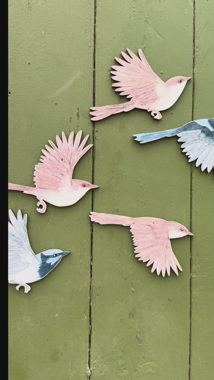 Load video: Australian Aviary ~ Wall Decorations ~ Superb Fairywrens (set of 5)