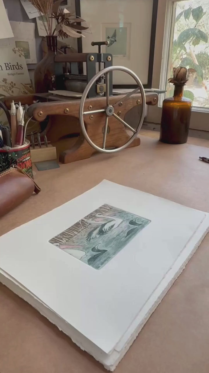 Load video: Original Drypoint Etching - On Lake Hattah
