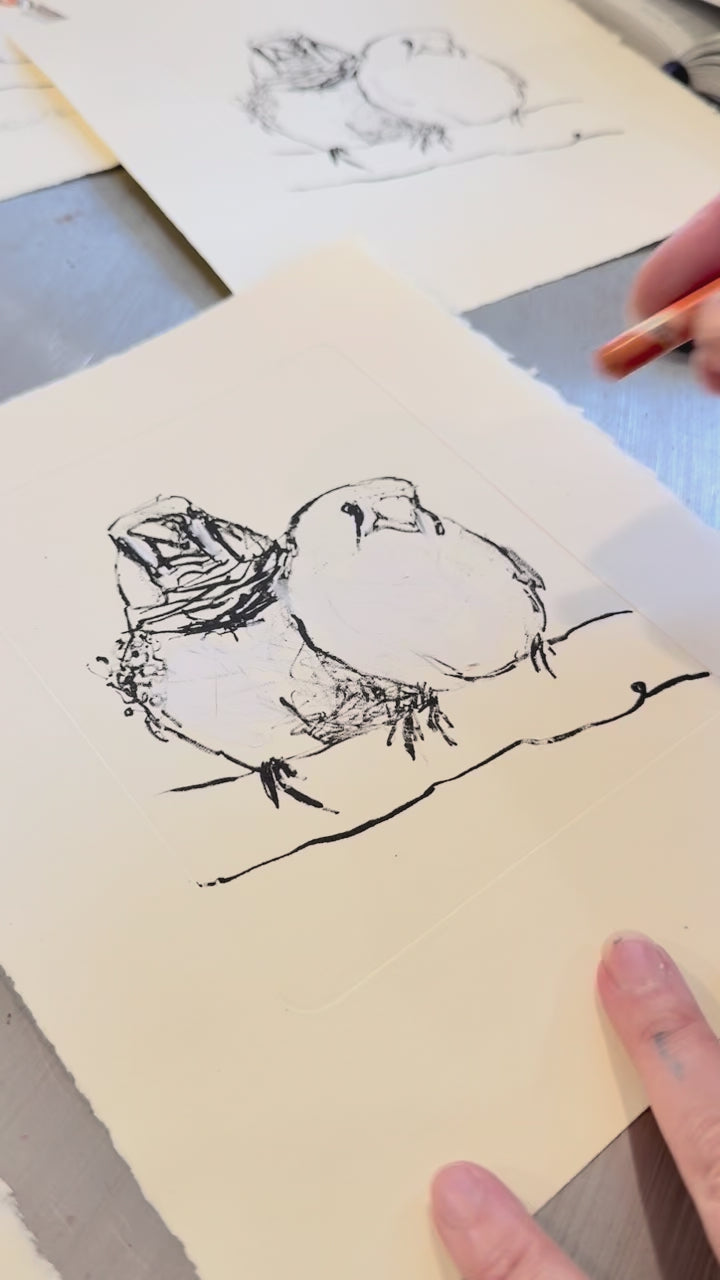 Load video: Lithograph - Zebra Finch Pair