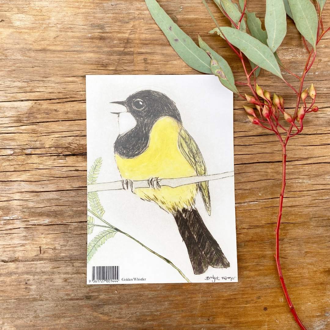 Golden Whistler Sticker