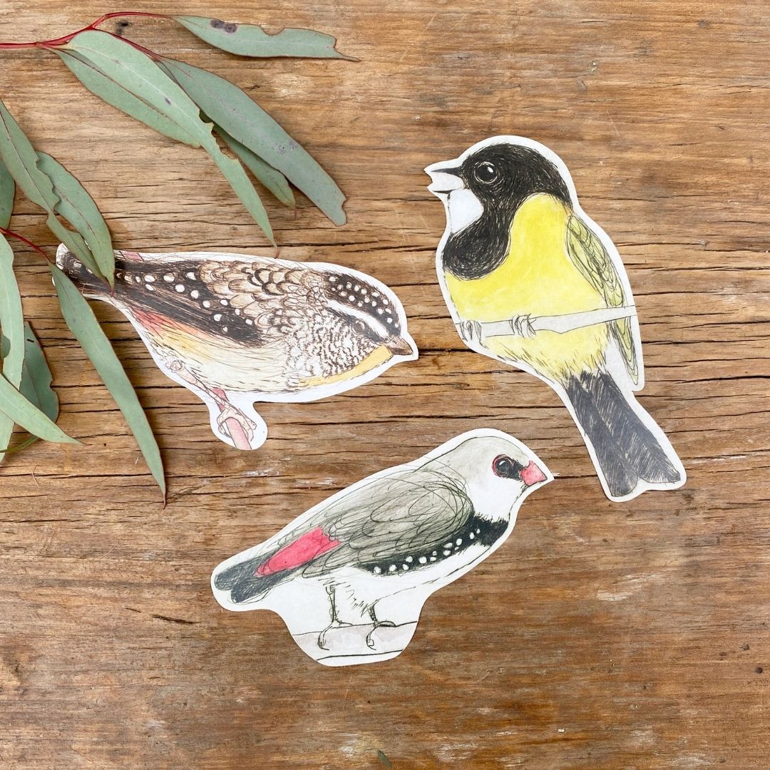 Golden Whistler Sticker – Bridget Farmer