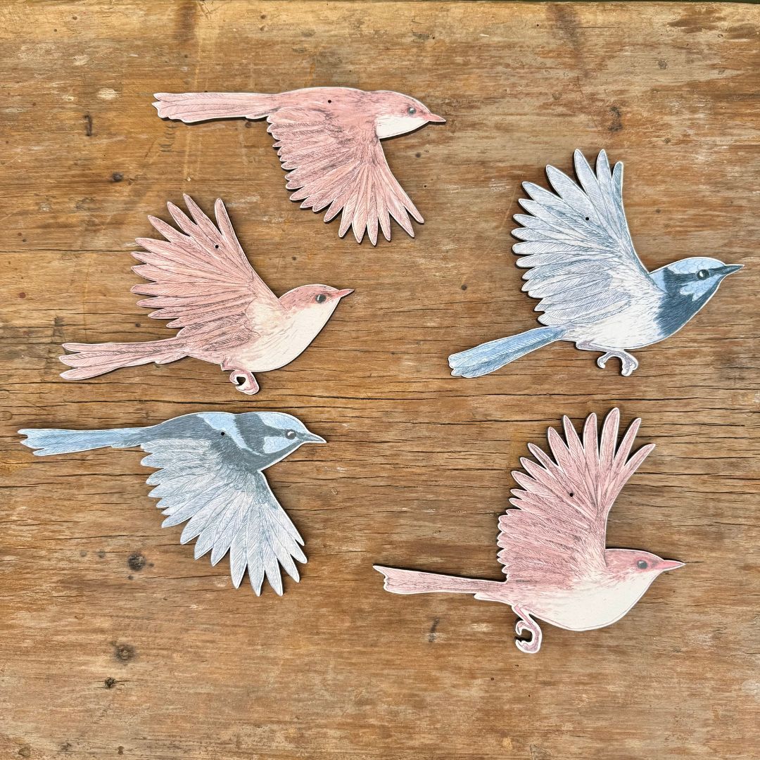 Australian Aviary ~ Wall Decorations ~ Superb Fairywrens (set of 5)