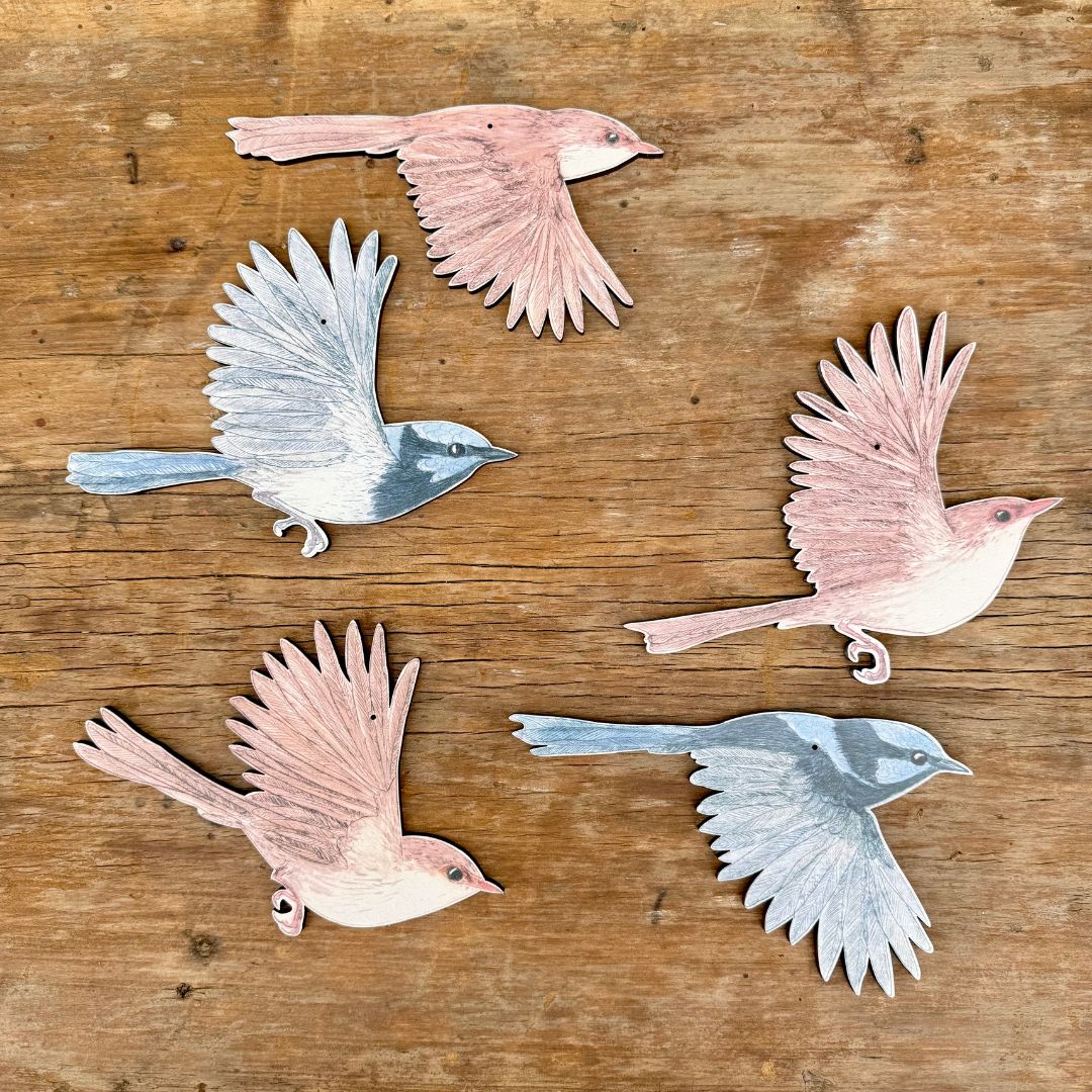 Australian Aviary ~ Wall Decorations ~ Superb Fairywrens (set of 5)