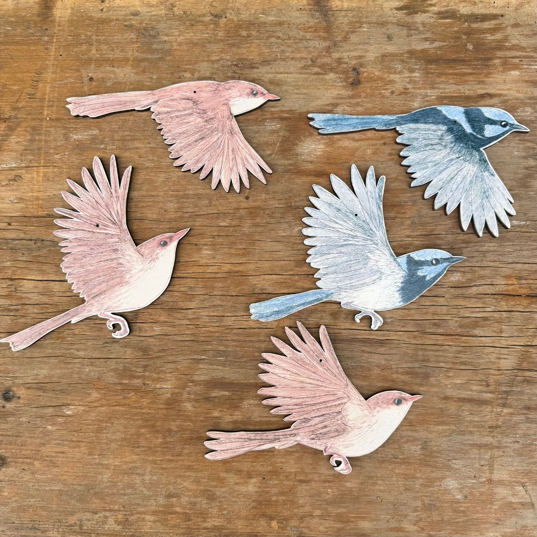 Australian Aviary ~ Wall Decorations ~ Superb Fairywrens (set of 5)