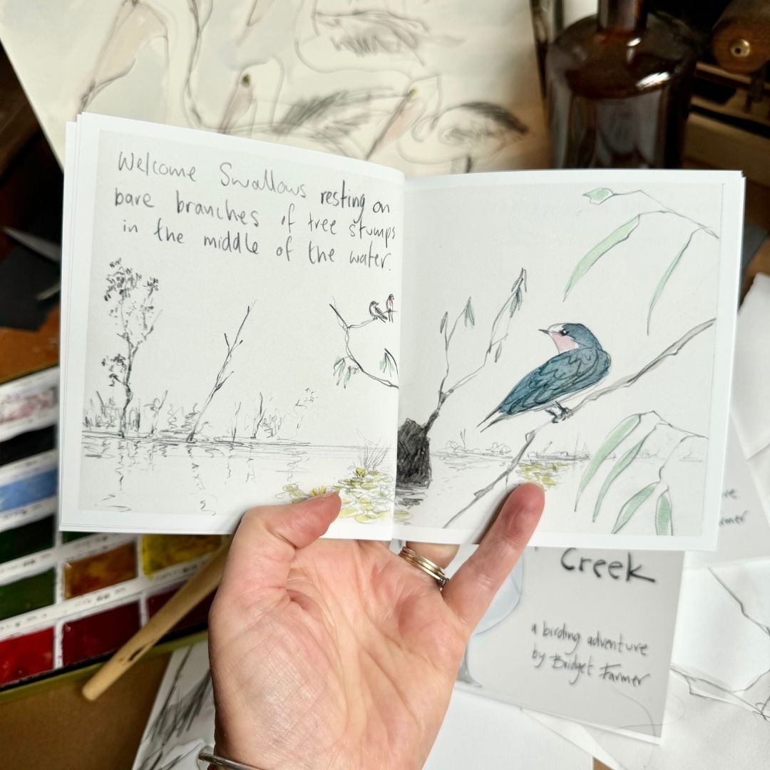 Trip to Gunbower Creek - Artist Minibook