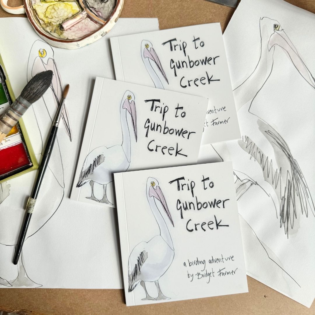 Trip to Gunbower Creek - Artist Minibook