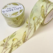 White-plumed Honeyeaters Washi (30mm)