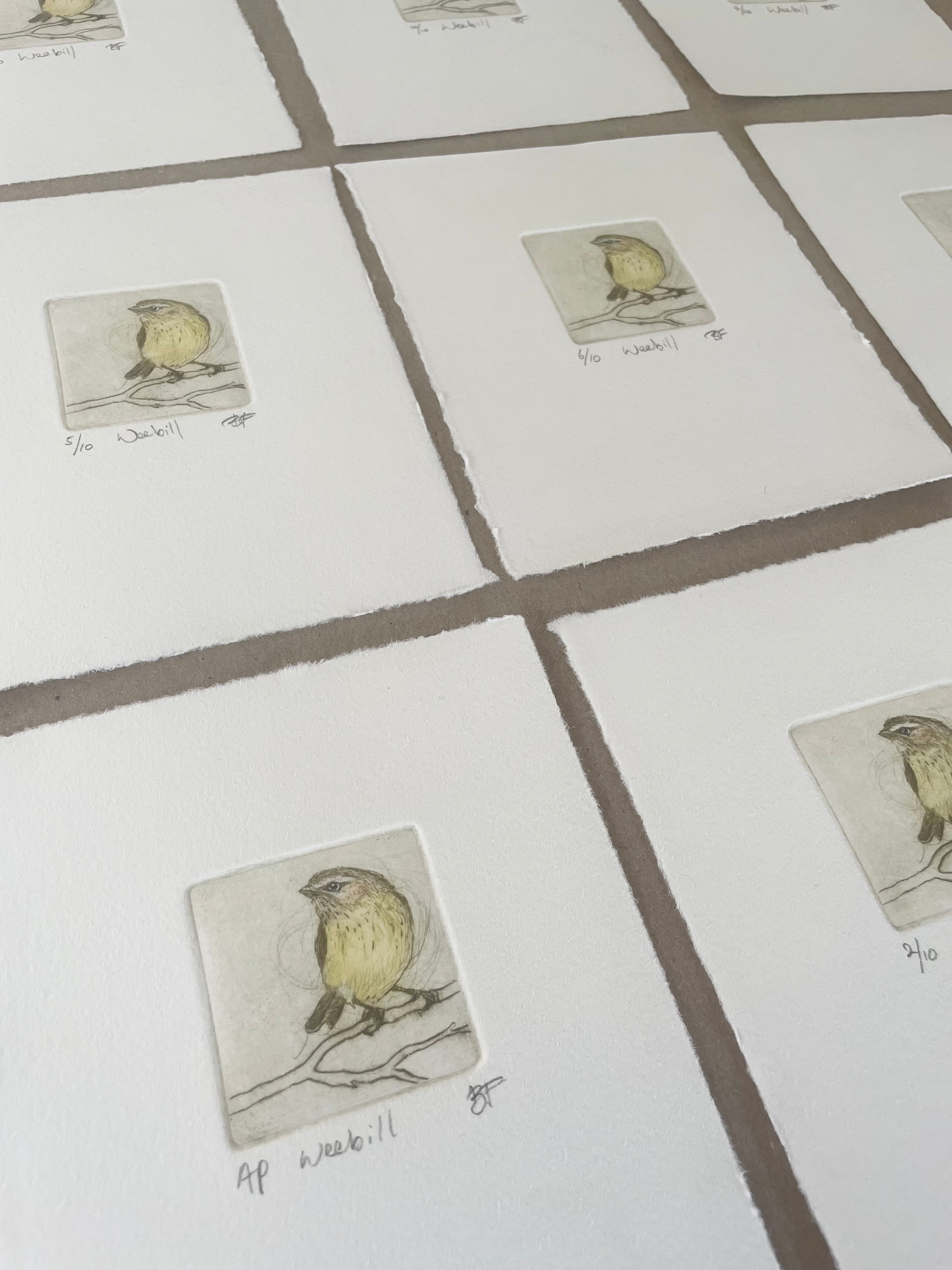 Original Drypoint Etching - Weebill