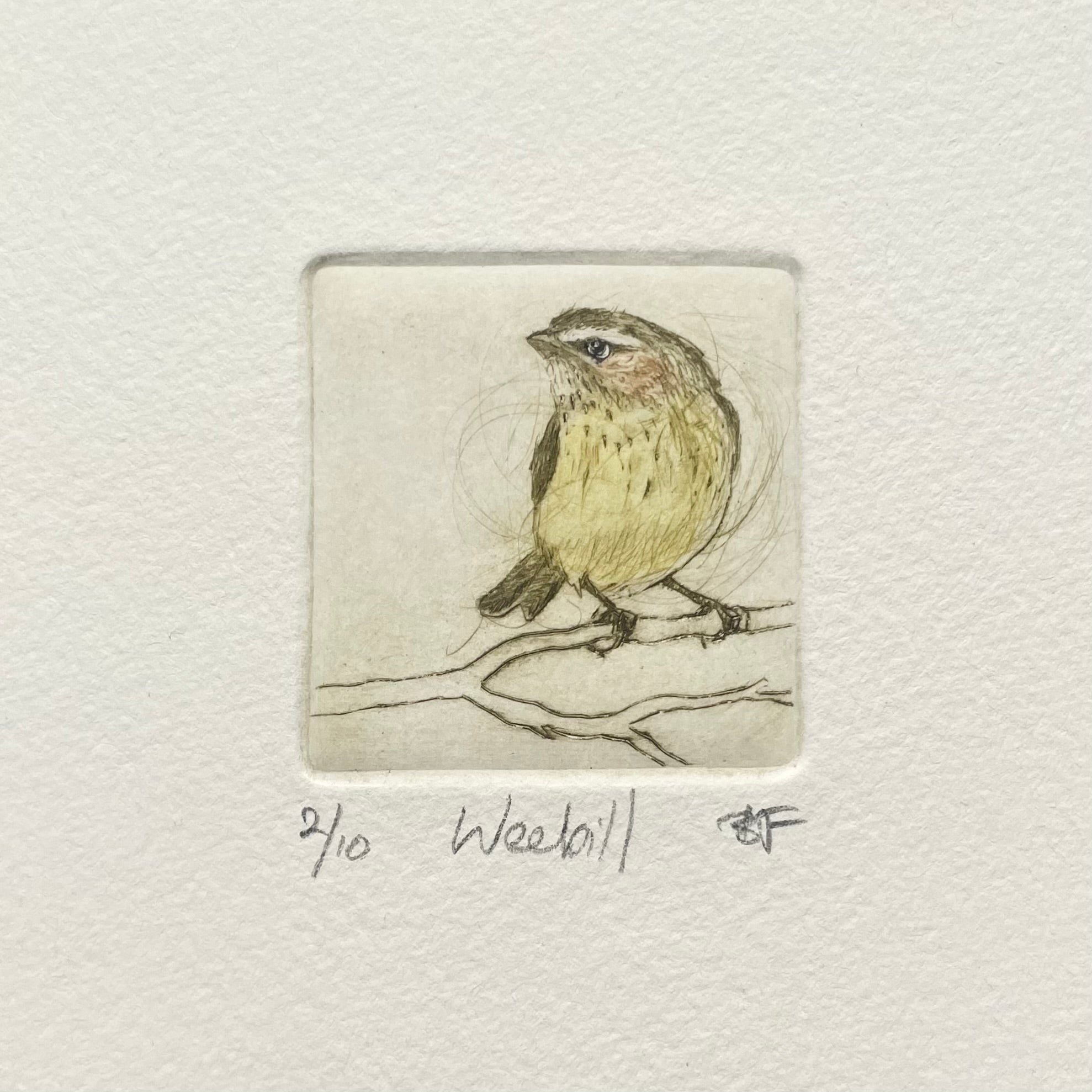 Original Drypoint Etching - Weebill