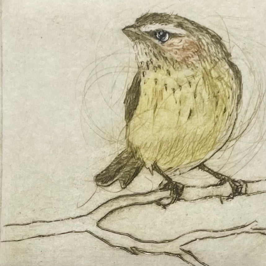 Original Drypoint Etching - Weebill