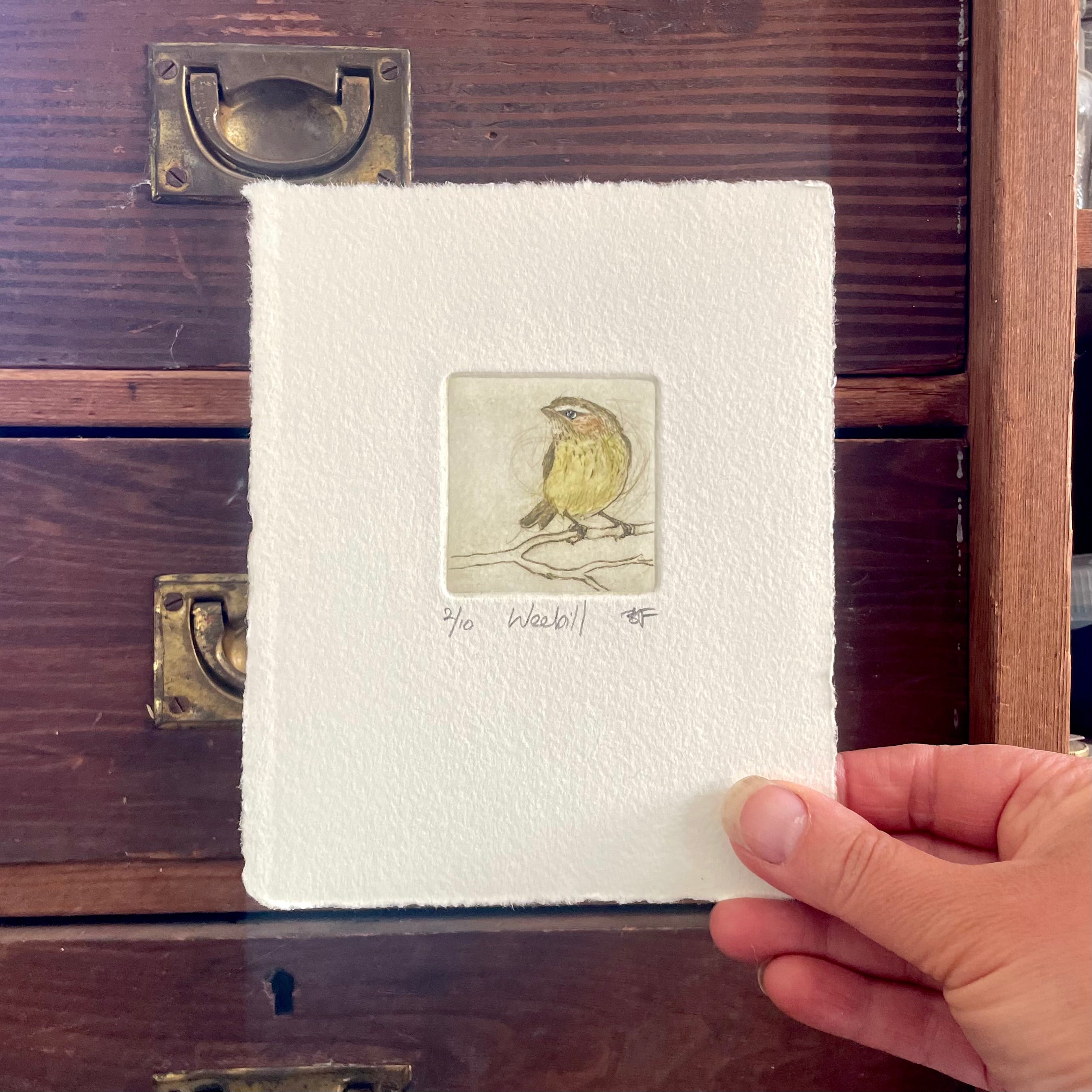 Original Drypoint Etching - Weebill